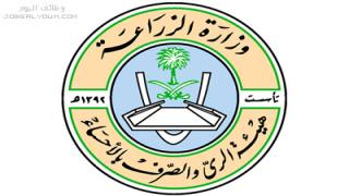 وظائف هيئة الري والصرف بالاحساء 1444