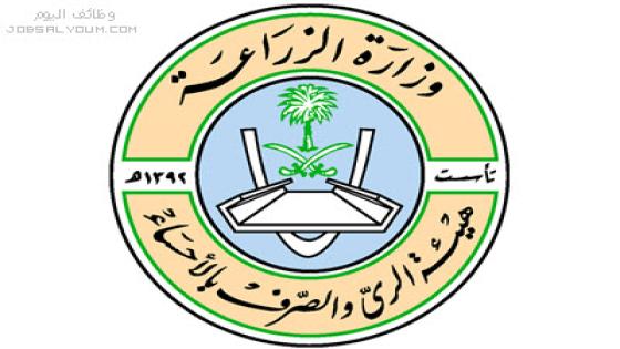 وظائف هيئة الري والصرف بالاحساء 1444