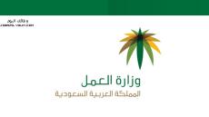 وزارة العمل السعودية تفعل التواصل المرئي مع الوزير